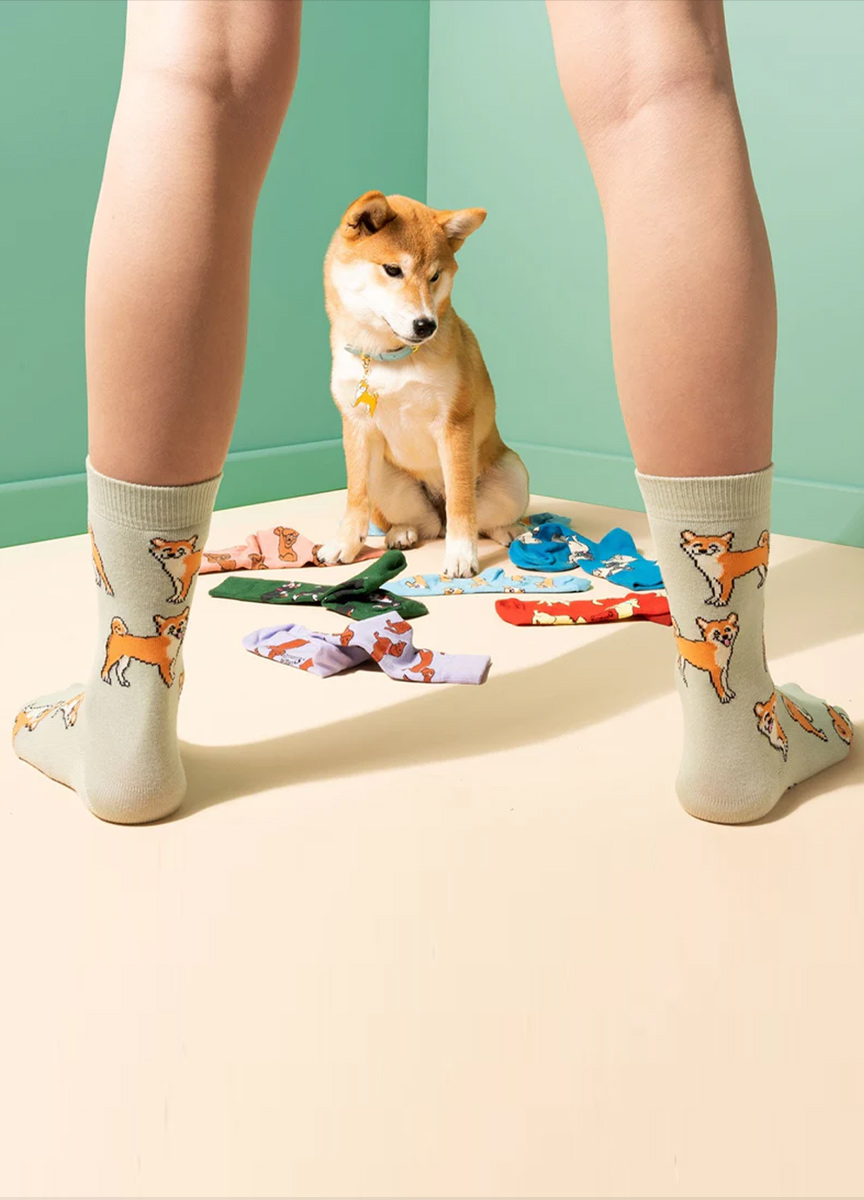 柴犬棉襪